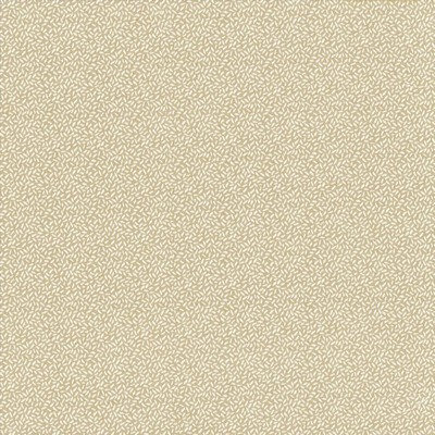 Kasmir Seedling 55 TAUPE           